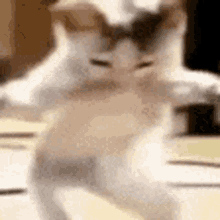 GIF