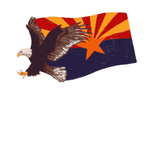 eagle arizona eagle arizona flag protect the freedom to vote vote how we choose