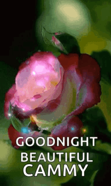 Goodnight Beautiful GIF - Goodnight Beautiful Sparkles GIFs