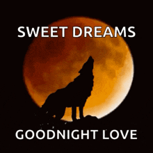 Sweet Dreams Wolves GIF - Sweet Dreams Wolves Full Moon GIFs