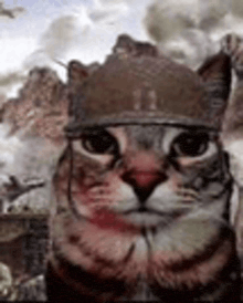 a cat wearing a military helmet is standing in front of a battle scene .