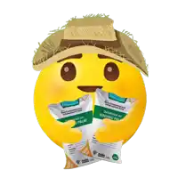 a yellow smiley face with a straw hat and two bags of rice