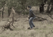 Awkward Kangaroo GIF - Awkward Kangaroo Punch GIFs