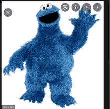 Cookie Monster GIF - Cookie Monster GIFs