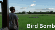 Swallow Bird Bomb GIF - Swallow Bird Bomb Flying GIFs