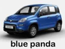 a blue panda car is sitting on a white surface .