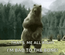 Bea Dance Party GIF