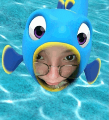 a person wearing glasses and a blue fish hat looks at the camera