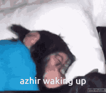 Azhir Waking Up Monkey GIF - Azhir Waking Up Monkey Sleeping GIFs