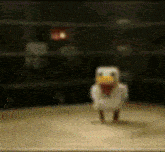 a stuffed chicken is standing on a wooden table in a dark room