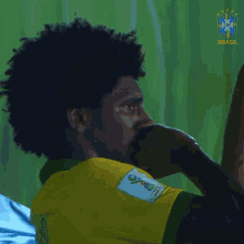 Tristeza Cbf GIF - Tristeza Cbf Confederacao Brasileira De Futebol GIFs