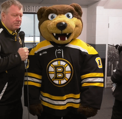 Who is the Boston Bruins mascot? All you need to know about Blades