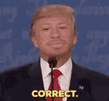 Adrian Trump Correct GIF - Adrian Trump Correct GIFs
