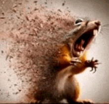 a squirrel with its mouth open and a lot of dust coming out of it 's mouth .