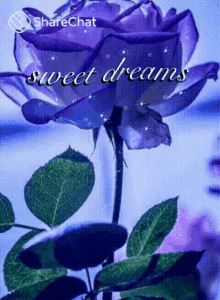 Sweet Dreams Purple Rose GIF - Sweet Dreams Purple Rose Flowers GIFs