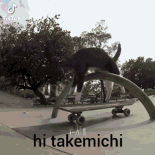 a cat is riding a skateboard on a ramp and says hi takemichi on the bottom