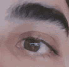 Jared Eye GIF - Jared Eye Blink GIFs