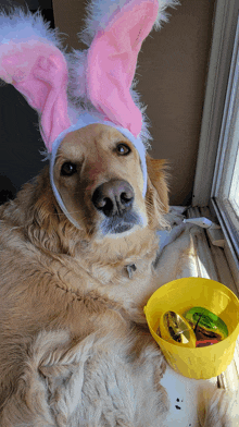 Easter Bunny Easter GIF - Easter Bunny Easter Easter Puppy GIFs