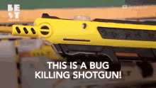 This Is A Bug Killing Gun Gun GIF