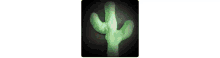 Mara Cactus GIF - Mara Cactus Maracactus GIFs