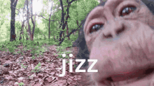Jizz GIF - Jizz GIFs