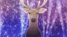 a deer with antlers is standing in front of a blue and purple background