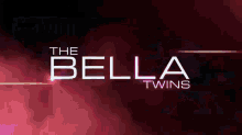 Hjj GIF - Bella Twins Wwe GIFs