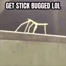 Stick Bug Get Stickbugged Lol GIF - Stick Bug Get Stickbugged Lol Get Stick Bugged GIFs