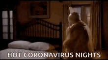 Virus Corona GIF - Virus Corona Condoms GIFs