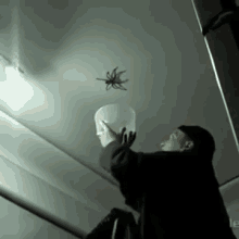 Spider Catch Fail GIF - Huge Spider Catch GIFs