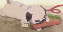 Pug Hotdog GIF - Pug Hotdog Sandwich GIFs