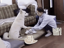 Dog Cleaning GIF - Dog Cleaning Yoona GIFs