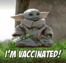 Grogu Covid Baby Yoda Vaccine GIF - Grogu Covid Baby Yoda Vaccine Baby Yoda Covid GIFs