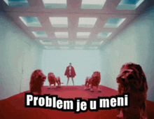 Milica Pavlovic GIF - Milica Pavlovic Problem GIFs