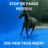 Stop De Parde Peste Paard GIF - Stop De Parde Peste Paard Paarden Pesten GIFs