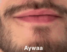 Aywa Aywaa GIF - Aywa Aywaa Aloo356 GIFs