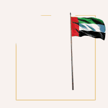 Mohammed Bin Zayed Mbz GIF - Mohammed Bin Zayed Mbz Uae GIFs
