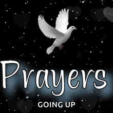 Praying For You Prayer GIF