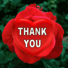 a red rose with a heart in the middle that says thank you