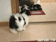 Who Are You? GIF