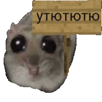 a close up of a hamster holding a sign that says ' yttottotko '