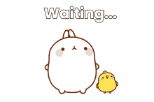 waiting molang piu piu standing by being patient