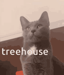 Treehouse Friends GIF - Treehouse Friends GIFs