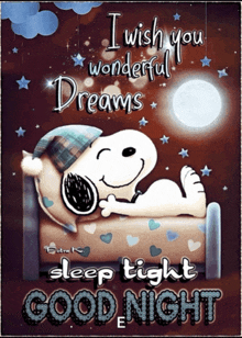 a picture of snoopy laying in a bed with the words i wish you wonderful dreams sleep tight good night