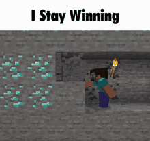 minecraft memes minecraft steve winning diamonds