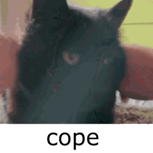 Cope Cope Harder GIF - Cope Cope Harder Lupita Cope GIFs
