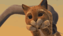 Big Eyes GIF - Puss In Boots In Love Googly Eyes GIFs