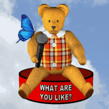 What Are You Like Let Me Know More GIF