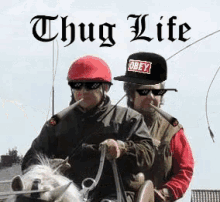 Thug Life Horse GIF - Thug Life Horse Carriage GIFs