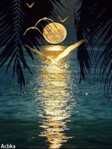 buenas noches moon light